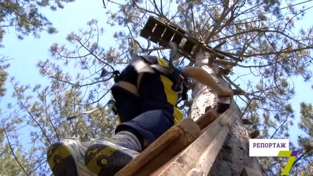 Дети летнего лагеря языкового развития "Мрія" прошли веревочный курс агентства "Развитие" смотреть онлайн