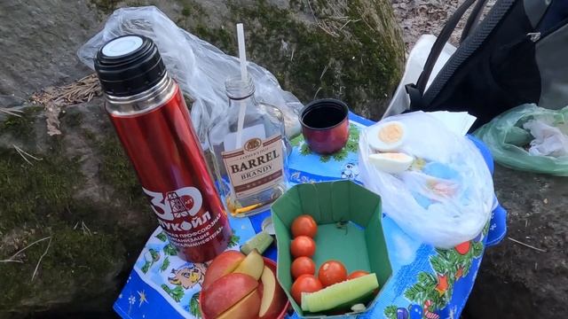 Янинский лес, 5 мая 2024 г. смотреть онлайн