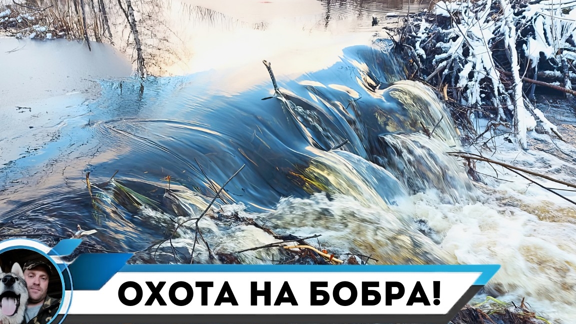 ПРОВЕРКА КАПКАНОВ НА БОБРА/МИНУС ОДИН КАПКАН/ПОПАЛСЯ ХОРОШИЙ БОБР! смотреть онлайн