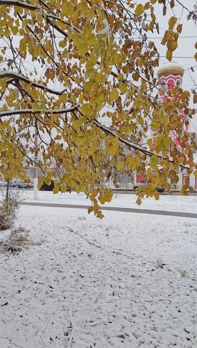 Первый снег 2024 #shorts смотреть онлайн