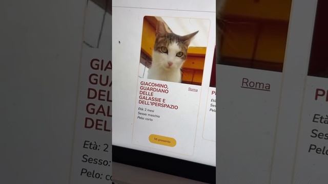 Имена котиков #shorts