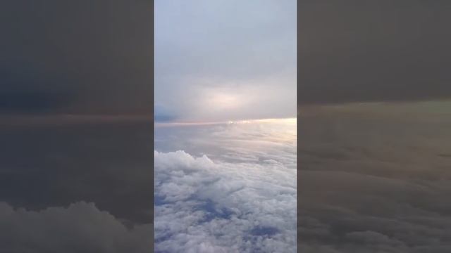 1 июня 2018 г.(2) смотреть онлайн