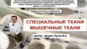 Лекция №6 - Мышечные ткани (доцент Лугин И.А.)