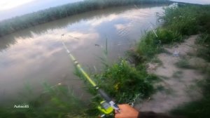 СОМ УТАЩИЛ СПИННИНГ. Рыбалка на сома и на сазана.Июнь2024г