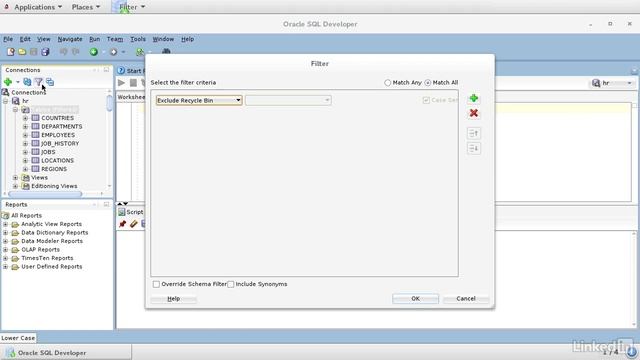 3.5_Filtering specific objects - 3. Using Oracle SQL Developer смотреть онлайн