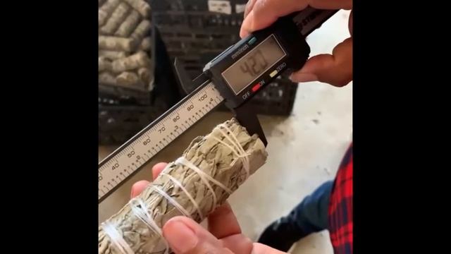 Белый шалфей 10 см . смотреть онлайн