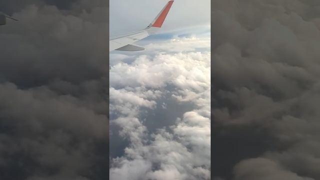 1 июня 2018 г. домой смотреть онлайн