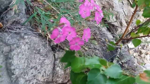 Байкал. Листвянка. Новые берега смотреть онлайн