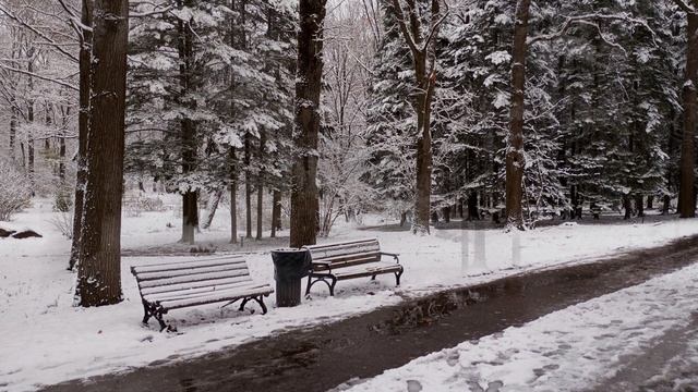 2024 1749 Москва, Ботанический сад имени Цицина, 4 ноября 7мин.