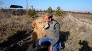 Как поднять 300 килограммового  льва ! ПОПРОБУЙ   ПОВТОРИ !!!