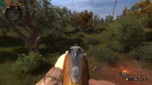 Mod STALKER: True Stalker  RTX 3050 (Max Graphics DX11 1080p No MSSA/ FXAA only/No grass Shadow)