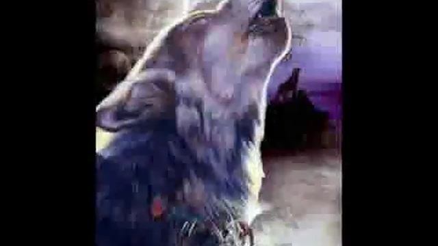 Слава Медянник Мы волки смотреть онлайн