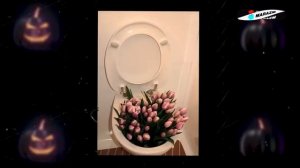 marazm — ТРЕШ В ШКОЛЬНОЙ ШКОЛЬНОЙ РАЗДЕВАЛКЕ — перезалив