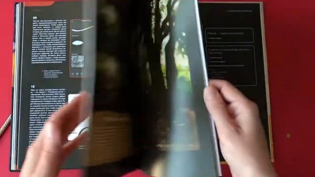 Книга Procreate. Учимся создавать шедевры на iPad. Обзор от профессионального иллюстратора смотреть онлайн