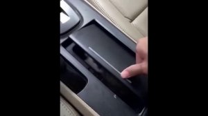 забавные и смешные кошки и собаки 613