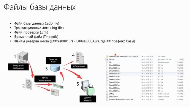 4 18 Работа с базами данных Exchange Server 2016 смотреть онлайн