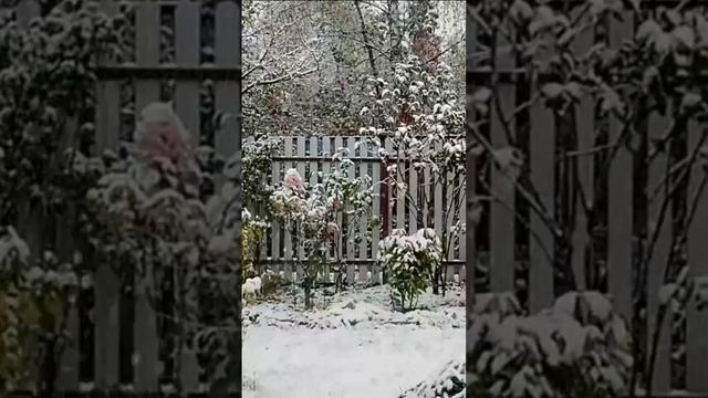 Первый снег. Дмитрий Шлапак смотреть онлайн