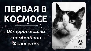 ПЕРВАЯ В КОСМОСЕ – история кошки космонавта Фелисетт