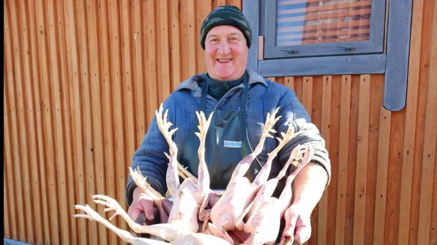 ПРАВИЛЬНАЯ РАЗДЕЛКА КУР И ПЕТУХОВ!!! 22.10.2024 год. смотреть онлайн