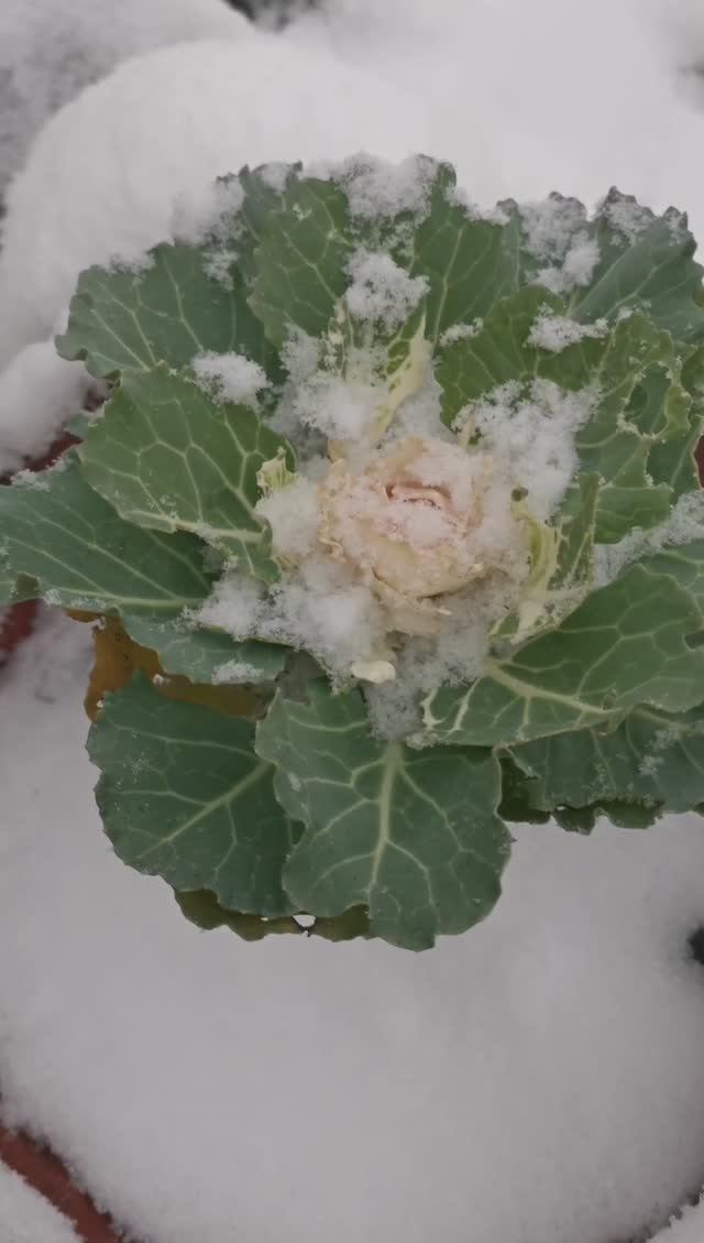 В каждом из нас живет ребенок