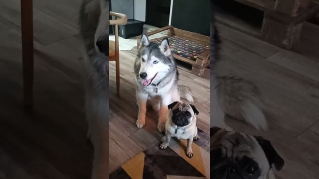 Послушайте этот взгляд смотреть онлайн