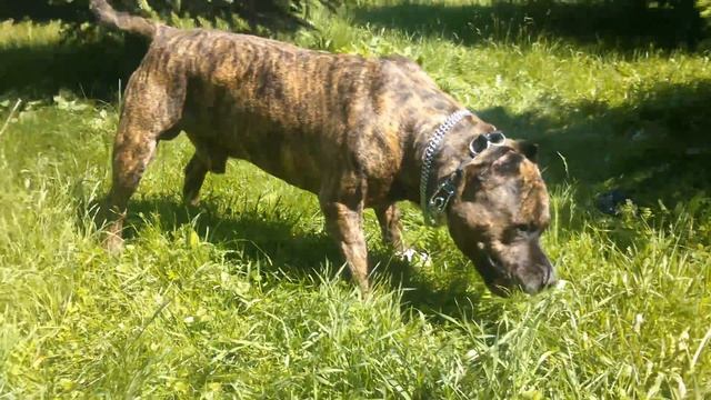 1 июня 2018 г.(6) смотреть онлайн