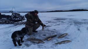 Попал на выход щуки. Открыл сезон 2023-2024г. ХМАО.