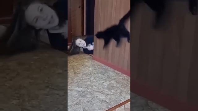 На это можно смотреть ВЕЧНО!! Смешные Кошки и Собаки! #Shorts смотреть онлайн