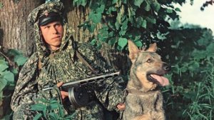 Тихо на границе Песня советских пограничников