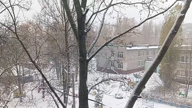 Снег ❄️ 4 ноября 2024 в Липецке.