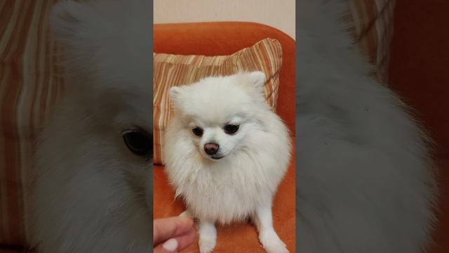 4 ноября что за праздник?