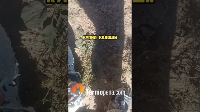 Теплоизоляция перекрытия пенополиуретаном #утеплениеппу #стройка #termopenacom смотреть онлайн