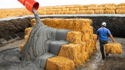 Обзоры изобретений и новости технологий