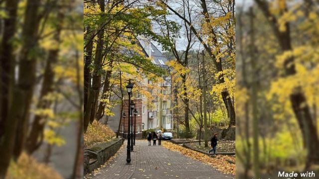 Время Самайна 2024 в Калининграде и области смотреть онлайн