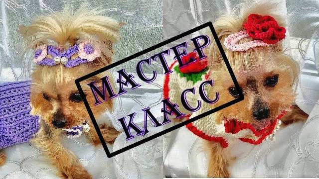 Мастер-класс Вяжем крючком заколки клик клак для собак смотреть онлайн