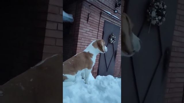 Космос разговаривает с соседями)