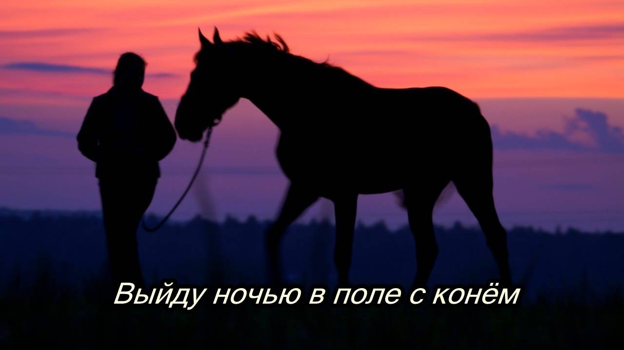 Выйду ночью в поле с конём смотреть онлайн