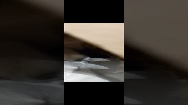 О катята смотреть онлайн