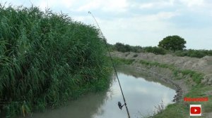 Рыбалка на секретном канале.