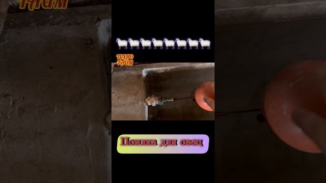 video-output-ACD30E81-683E-4357-8391-7A6D4DA4BCA2 смотреть онлайн