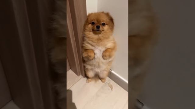 Понять и простить😅 смотреть онлайн