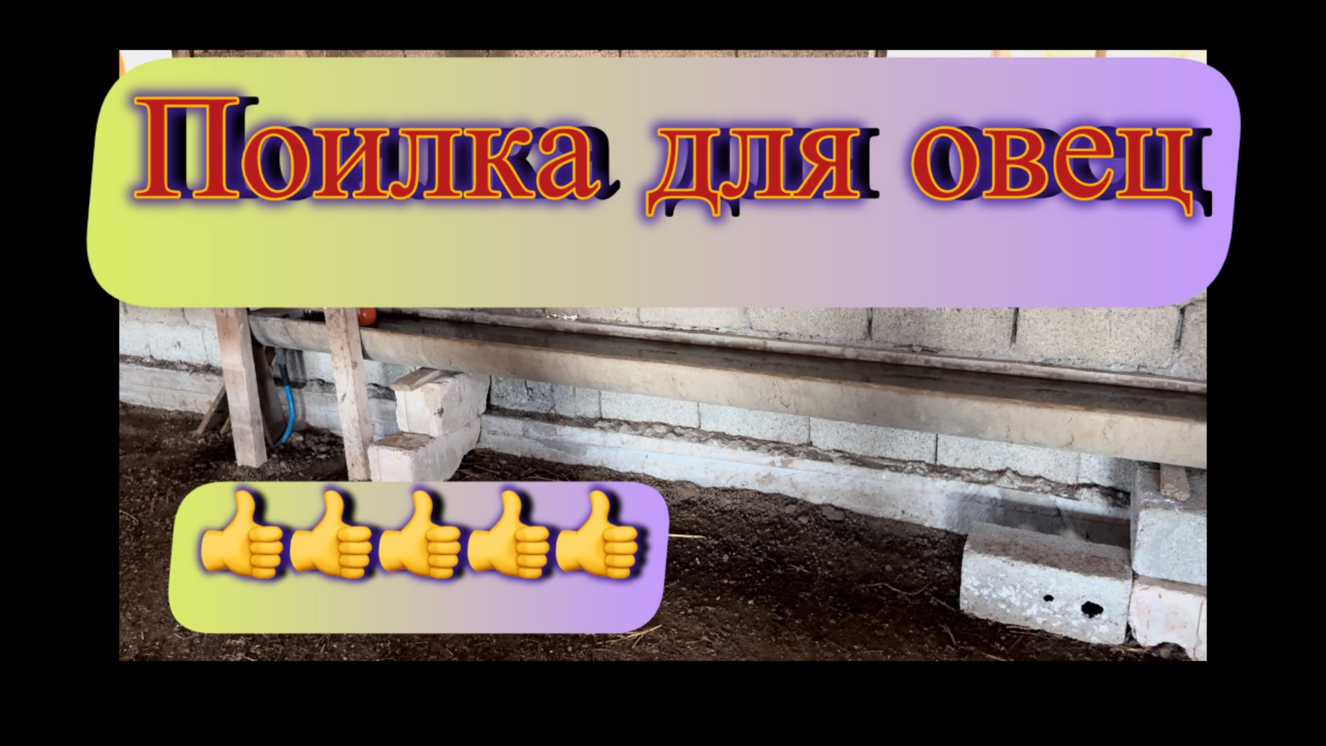 Поилка для овец Техно тайм смотреть онлайн