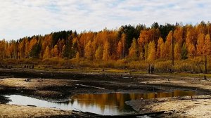 ЛУЖА ПЕРЕСОХЛА! РОТАН-КАБАН И КАРАСЬ НА ГЛУБИНЕ 10 СМ! Рыбалка на поплавок