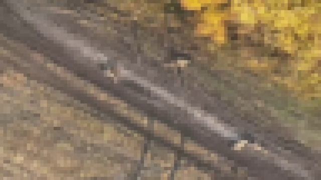 ⚡️СВО 18+ Десятки украинских боевиков уничтожены в курском приграничье смотреть онлайн