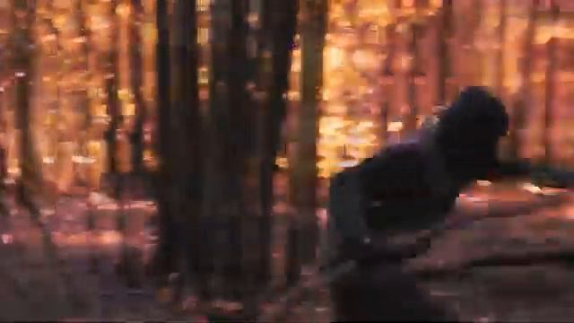 Клип S.T.A.L.K.E.R 2000$ за сигарету смотреть онлайн