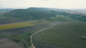 Район улицы Балаклавская. Район Пневматика Симферополь. Лес на улице Балаклавская