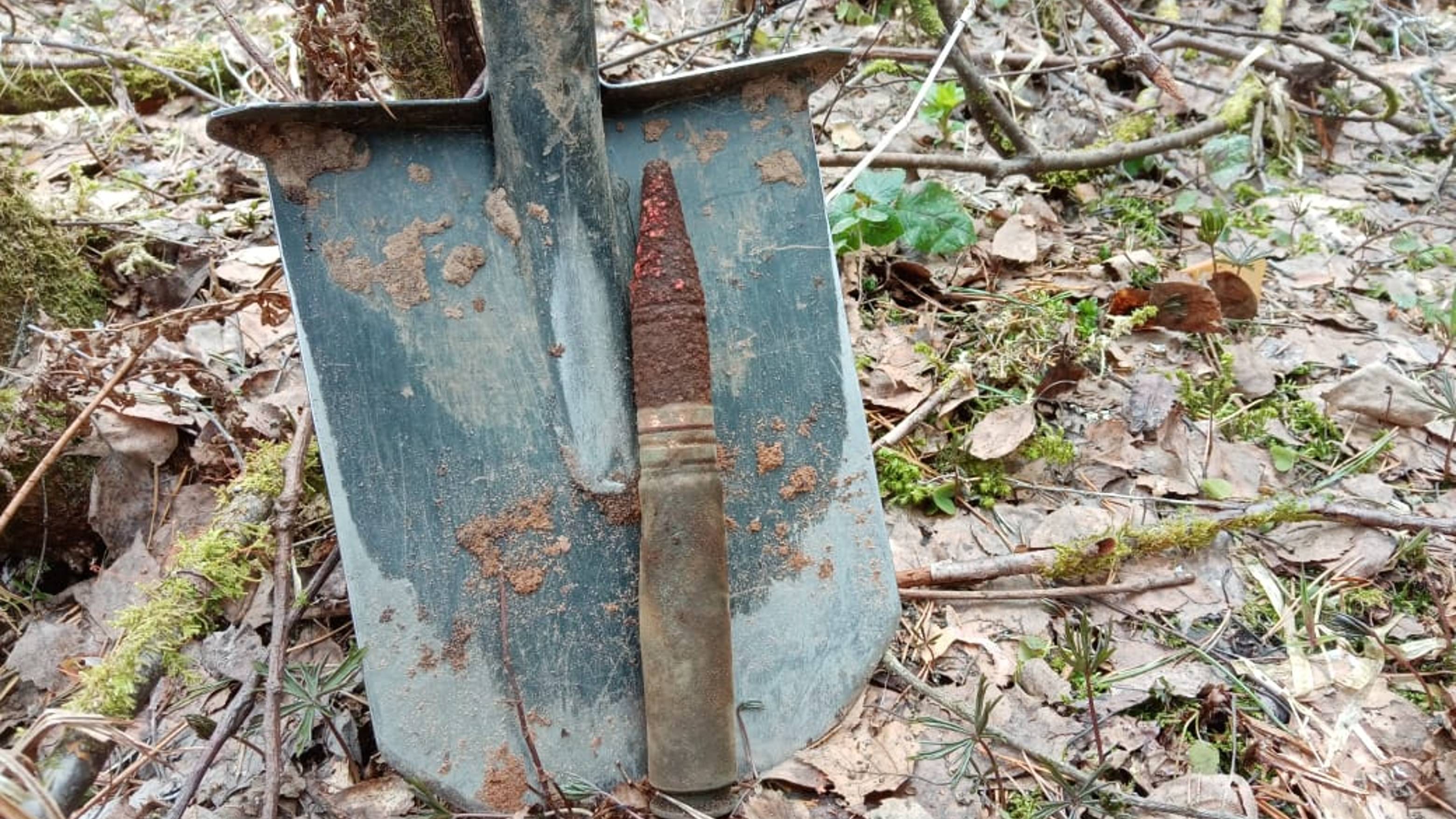 коп на луге .11.2022г. смотреть онлайн