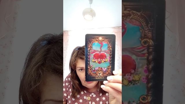 Сентябрь- ключевые события сентября Шикардос! смотреть онлайн