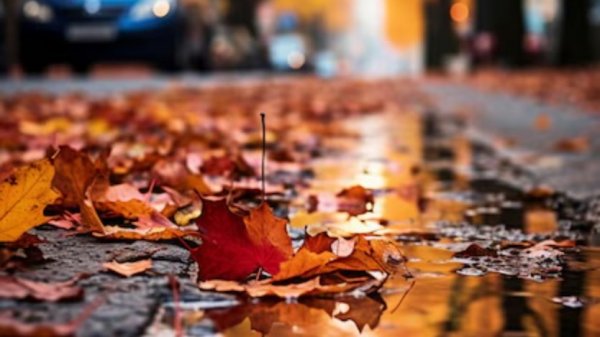 THE BEST MUSIC IN THE WORLD!!!😍😍😍😍😍😍