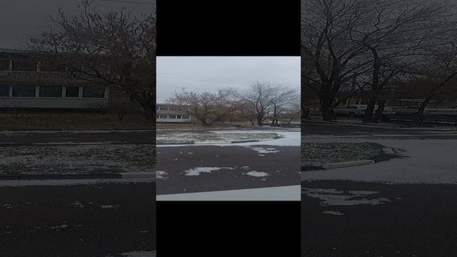 4 Ноября. День Народного Единства. Первый Снег. #зима #shorts #снег смотреть онлайн
